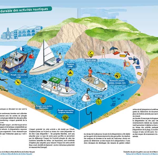 Illustrations et graphisme de mise en valeur des activités de la réserve naturelle marine de cerbère Banyuls