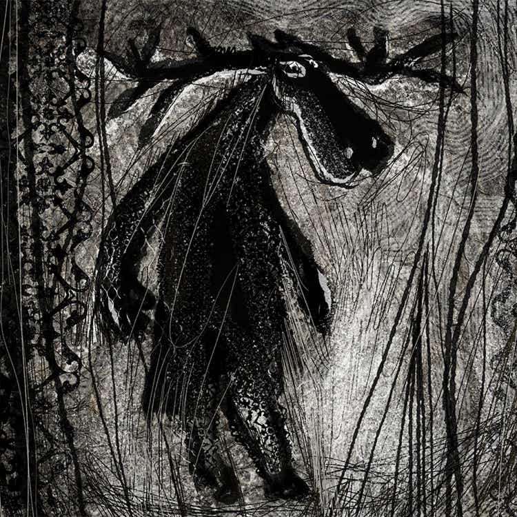 illustration